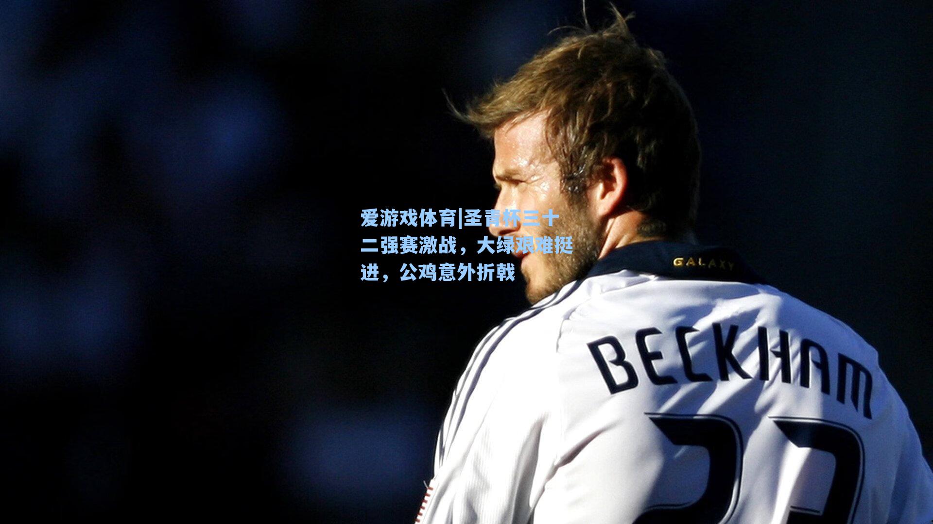 圣青杯三十二强赛激战，大绿艰难挺进，公鸡意外折戟