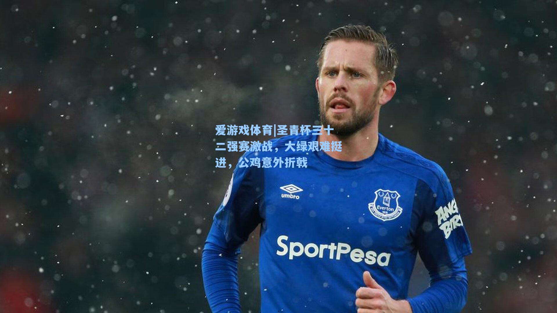 圣青杯三十二强赛激战，大绿艰难挺进，公鸡意外折戟